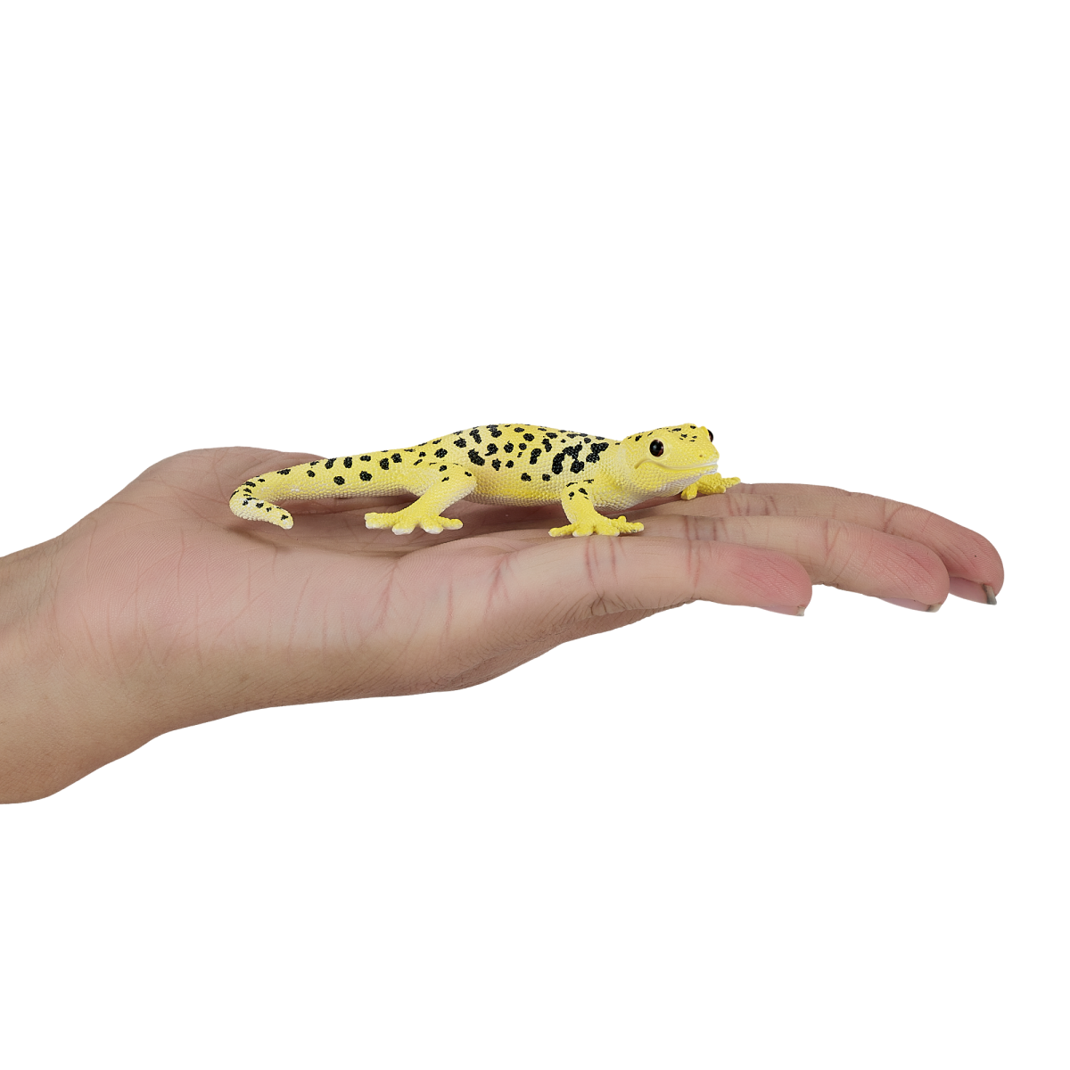 Leopard Gecko Toy  Realistic Reptile Model