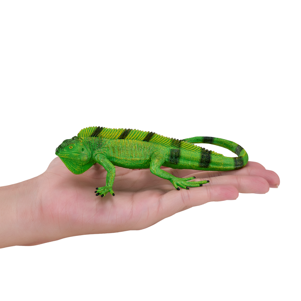 Iguana Toy  Realistic Reptile Figurine