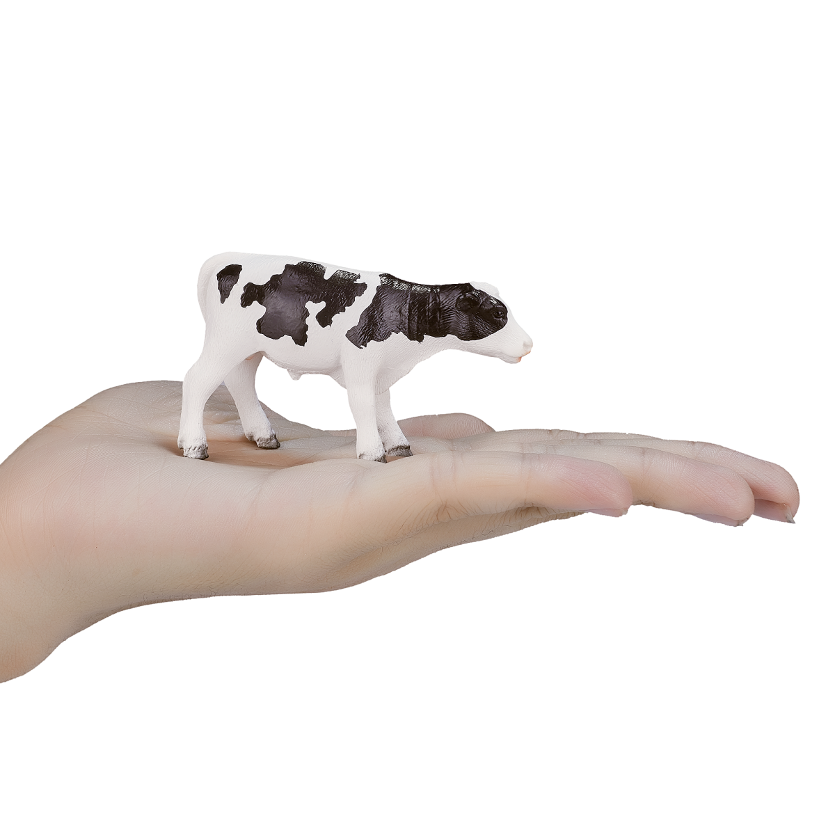 Holstein Calf Standing Toy  Realistic Farm Animal Figurine
