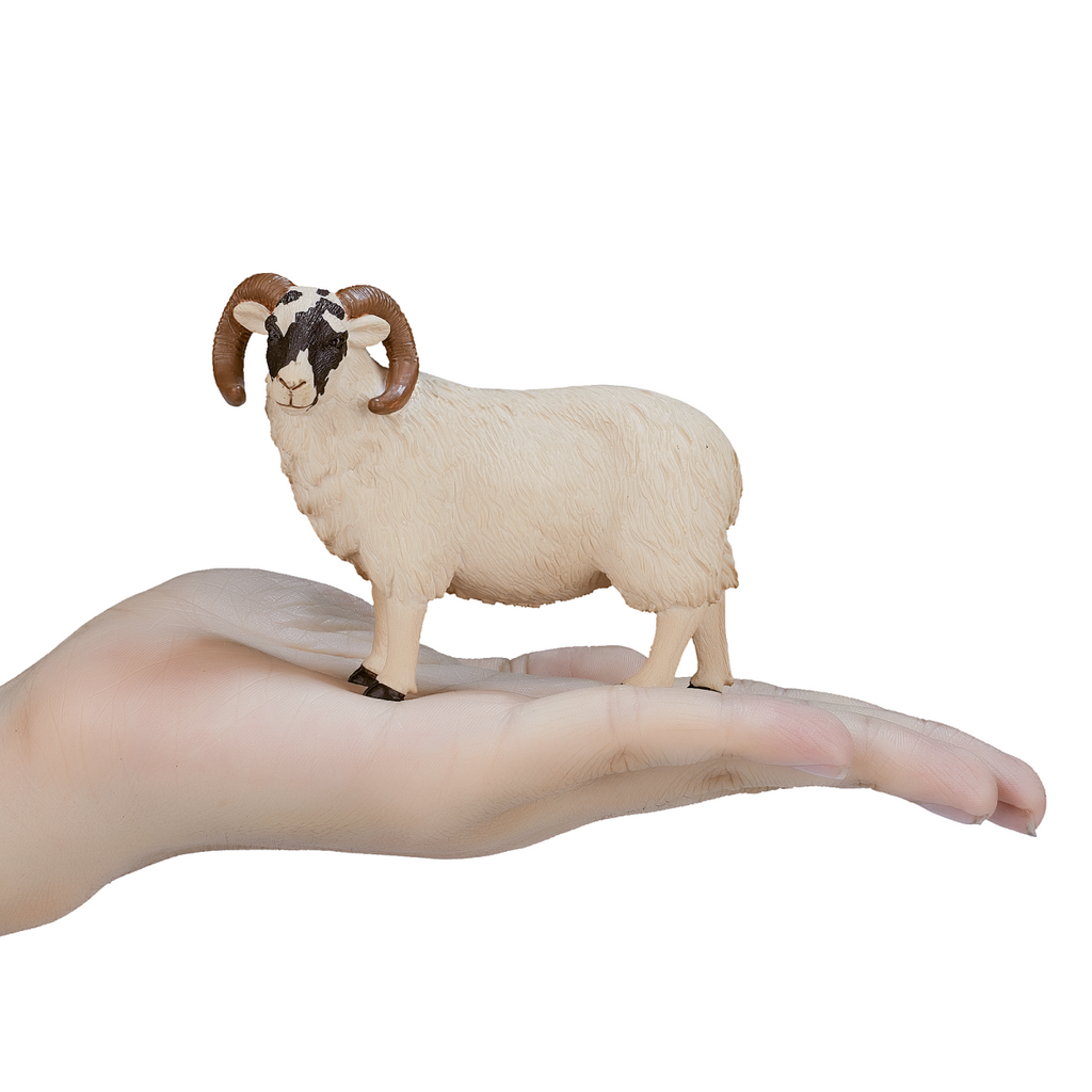 Black-Faced Sheep Ram Toy  Realistic Farm Animal Figurine