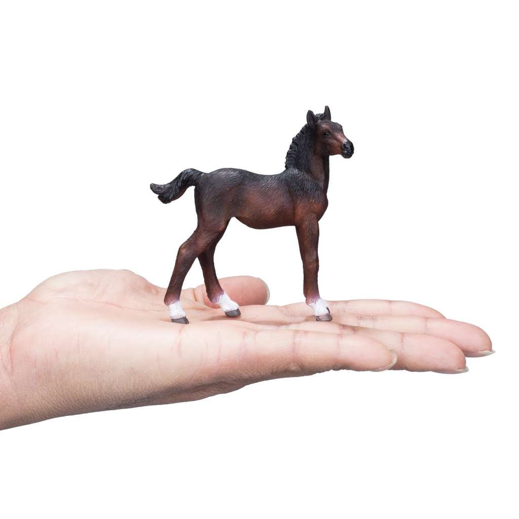 Hanoverian Foal Bay Toy  Realistic Equestrian Figurine