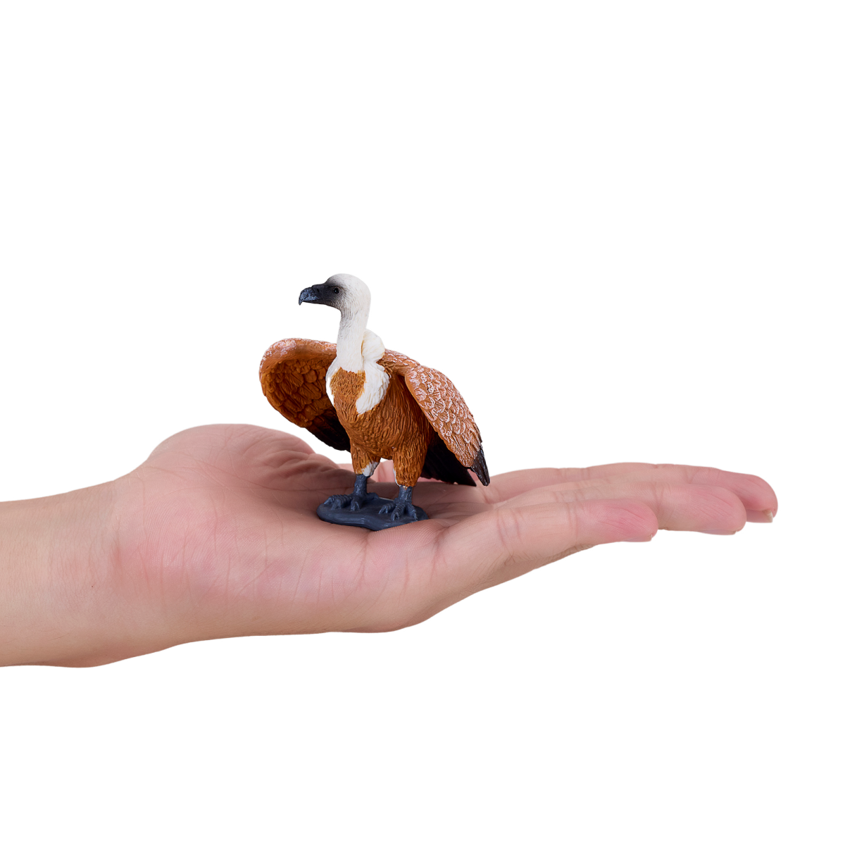 Griffon Vulture Toy  Realistic Bird of Prey Model