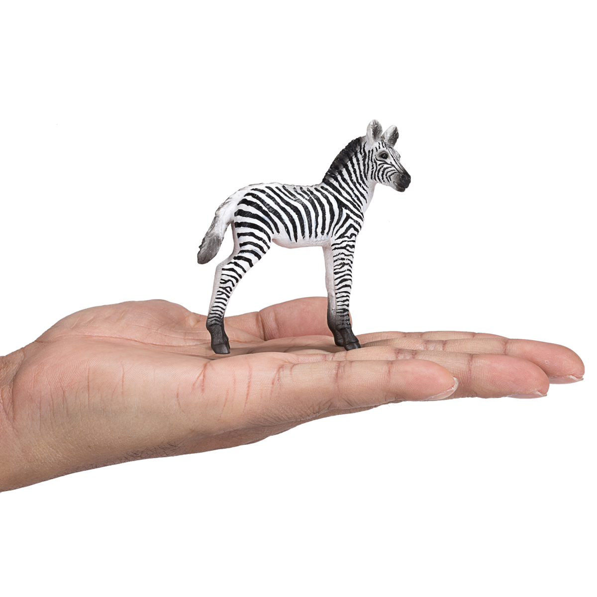 Zebra Foal Toy  Realistic African Wildlife Model