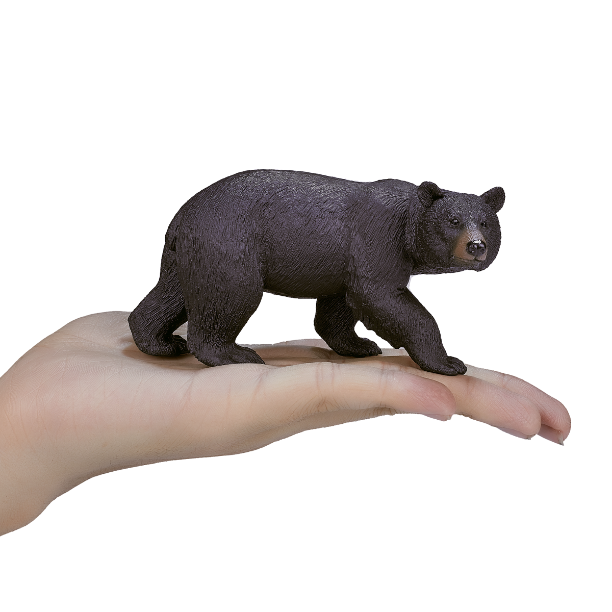 American Black Bear Figurine  Realistic Wildlife Model
