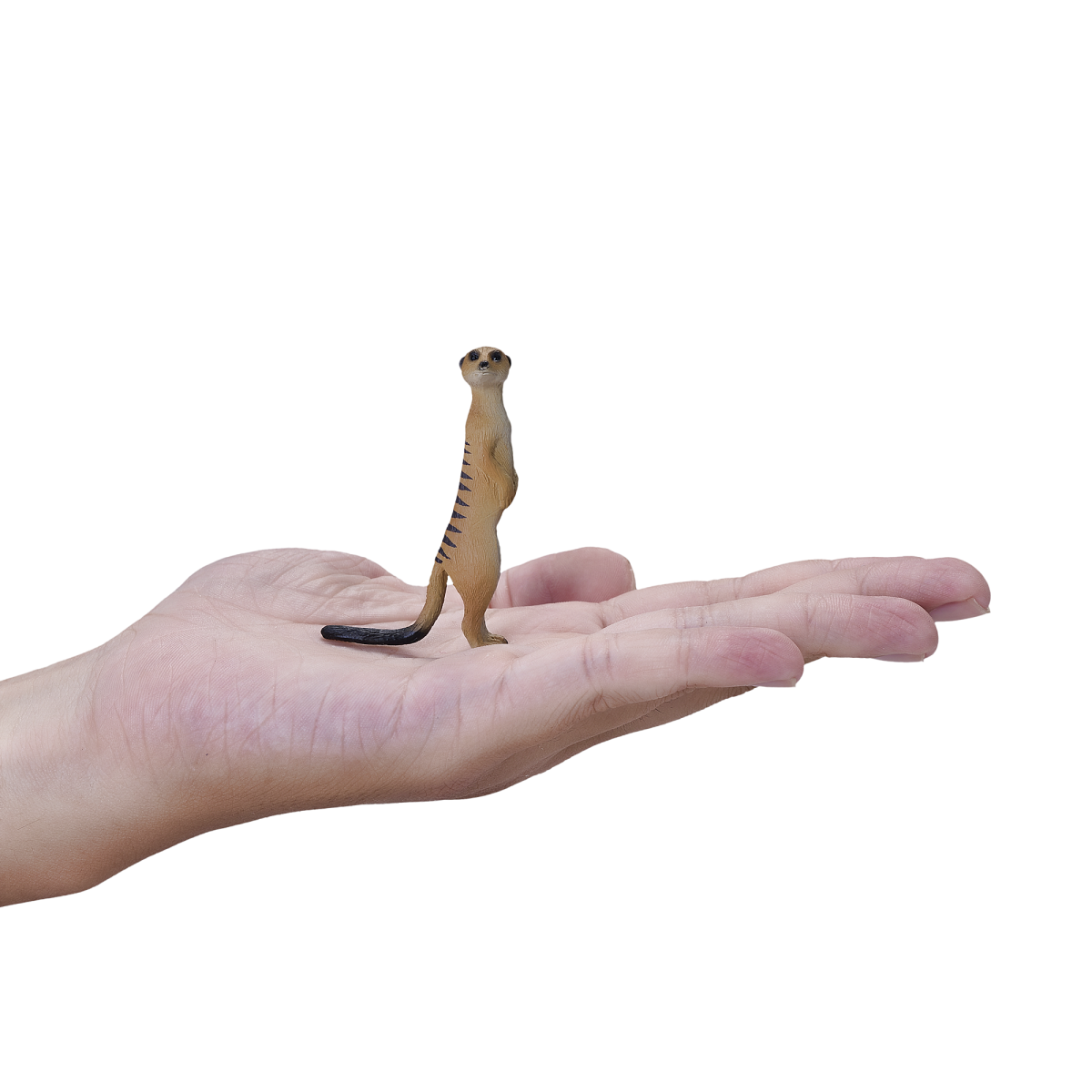 Meerkat Toy  Realistic African Wildlife Figure