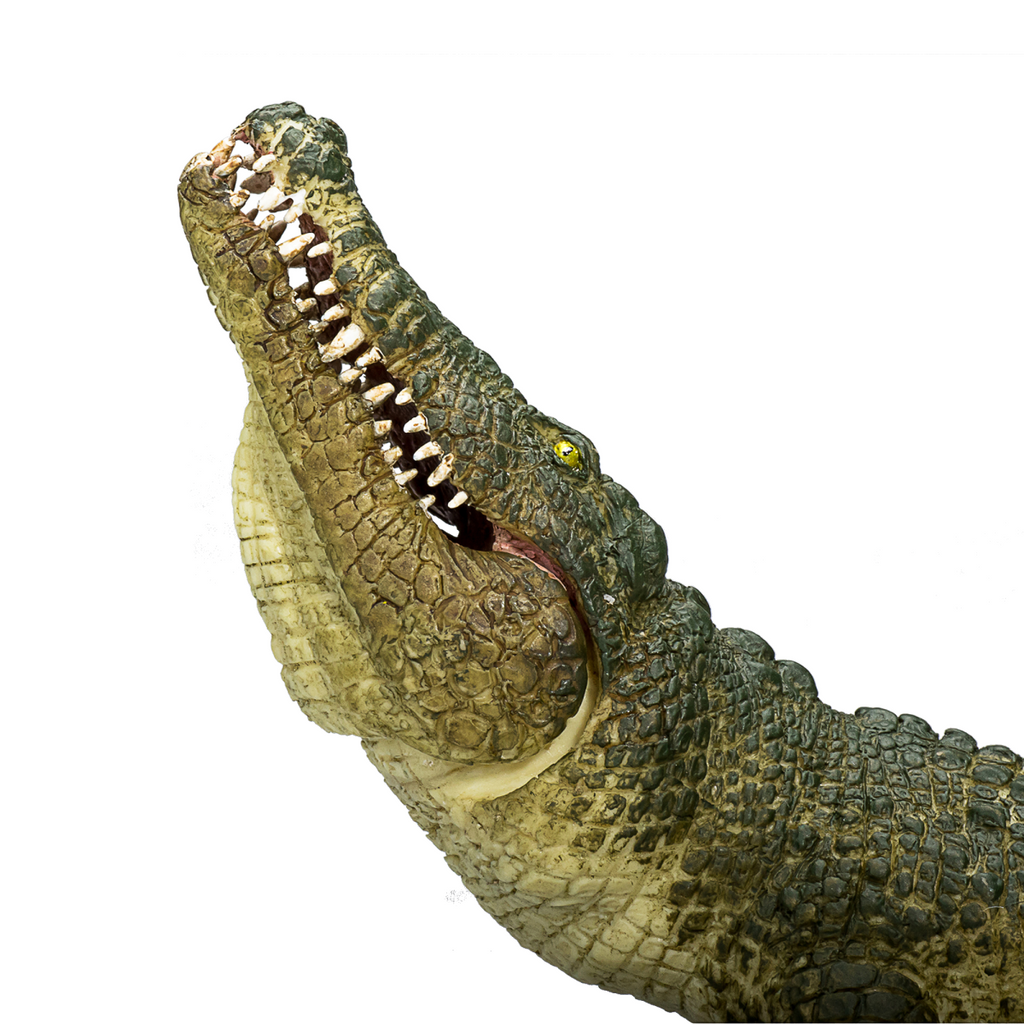 Crocodile with Articulated Jaw  Realistic Reptile Model