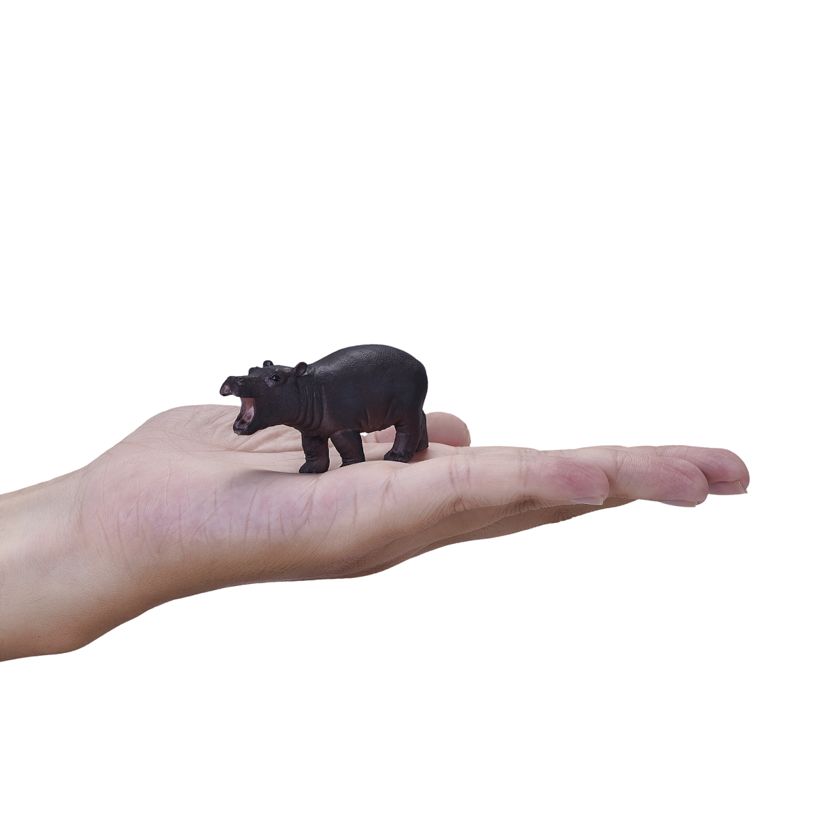 Hippo Baby Toy Figure  Realistic Wildlife Model