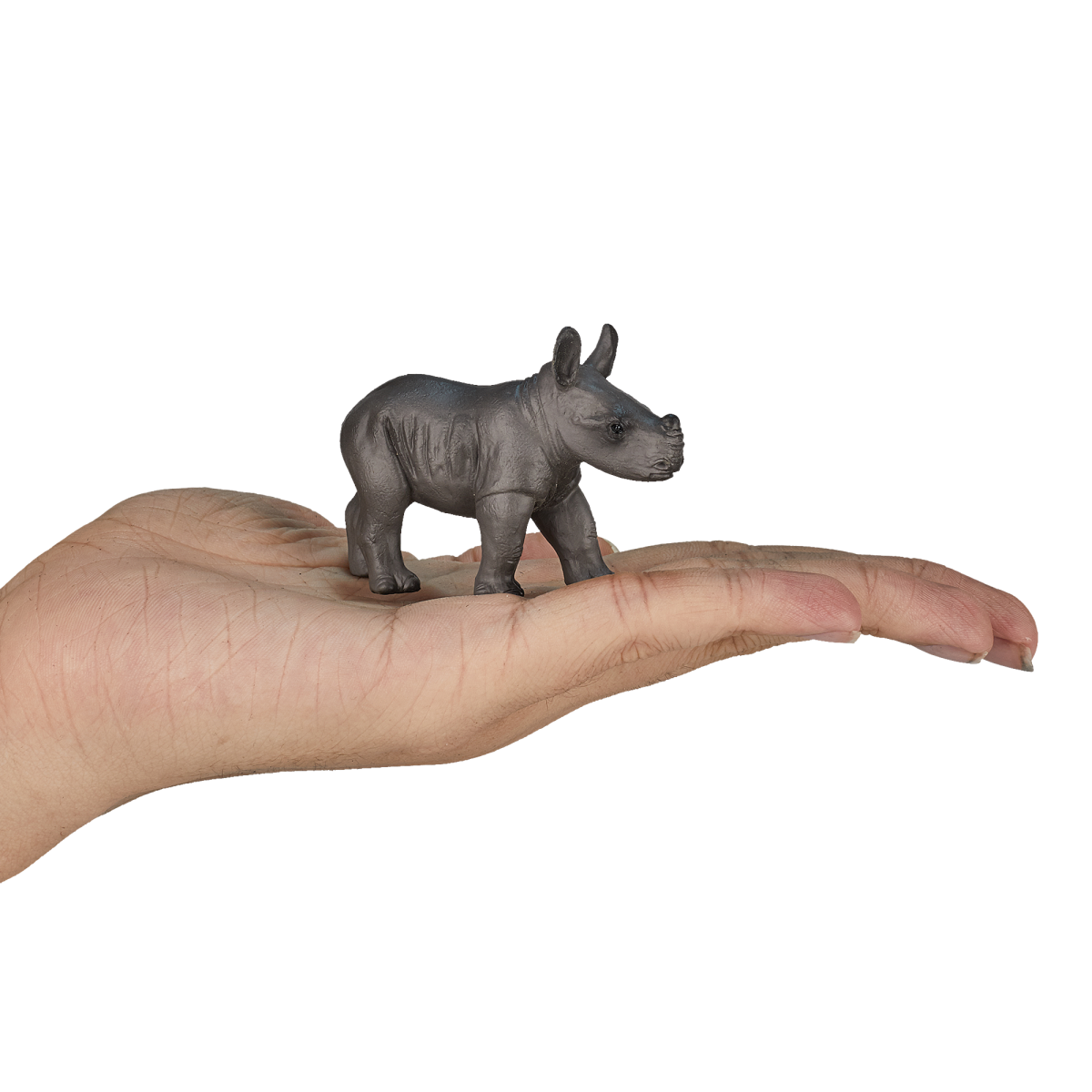 Rhino Baby Standing Toy  Realistic Wildlife Model