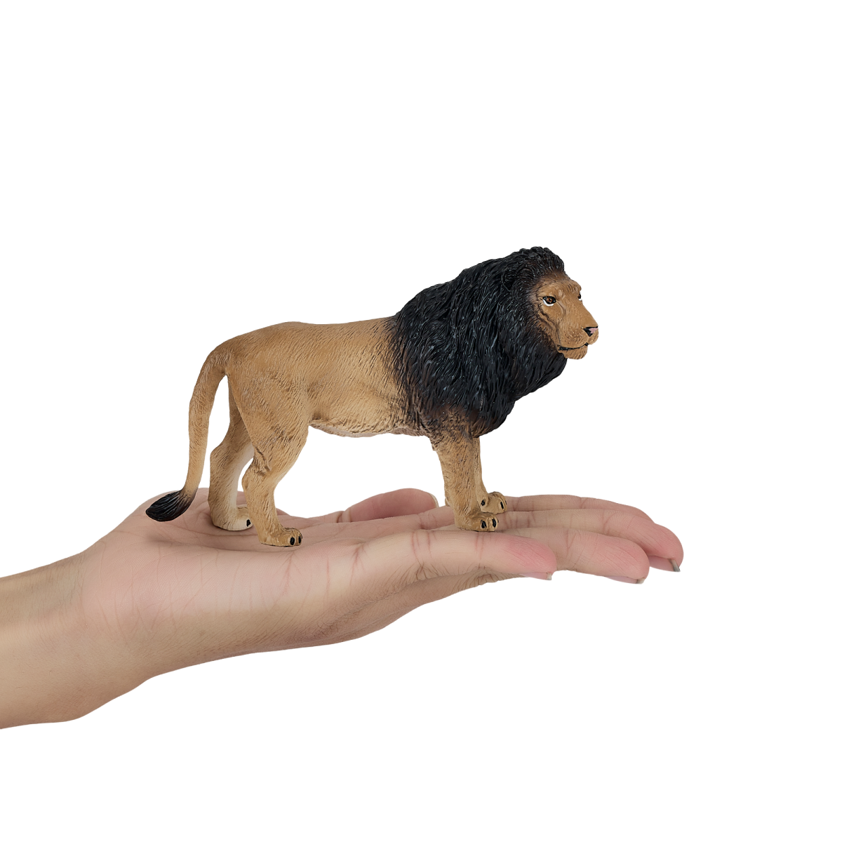 Lion Toy  Realistic Big Cat Model
