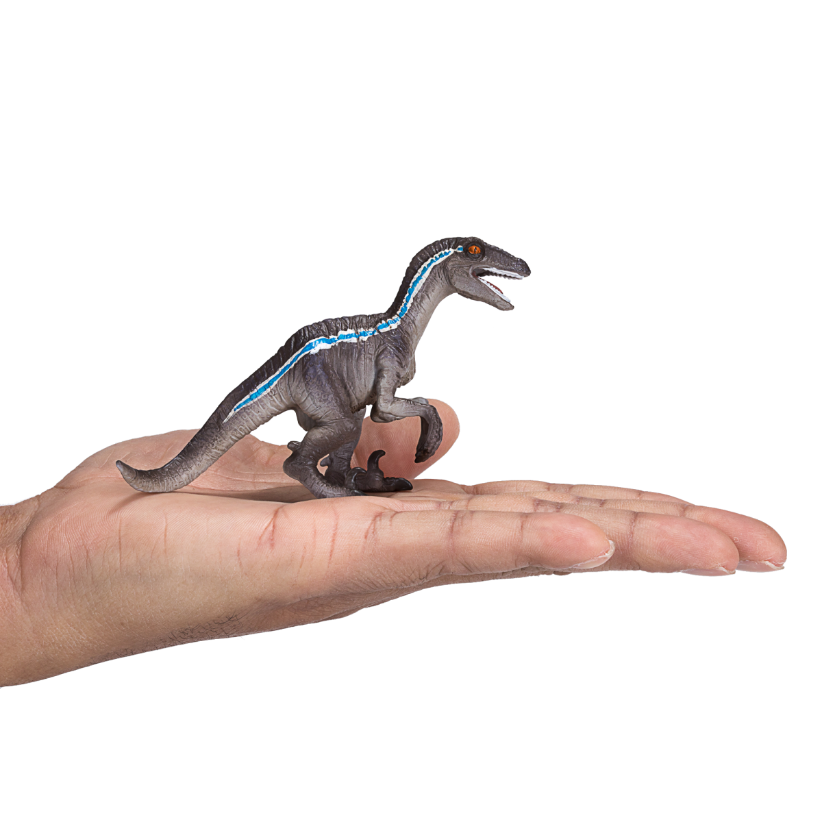 Velociraptor Crouching Toy  Realistic Dinosaur Figure