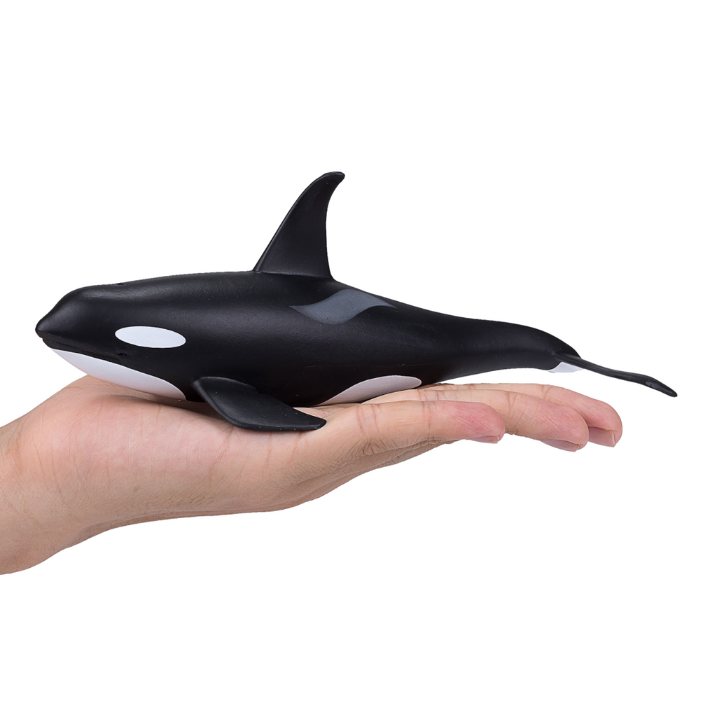 Orca Male Toy  Realistic Marine Mammal Model