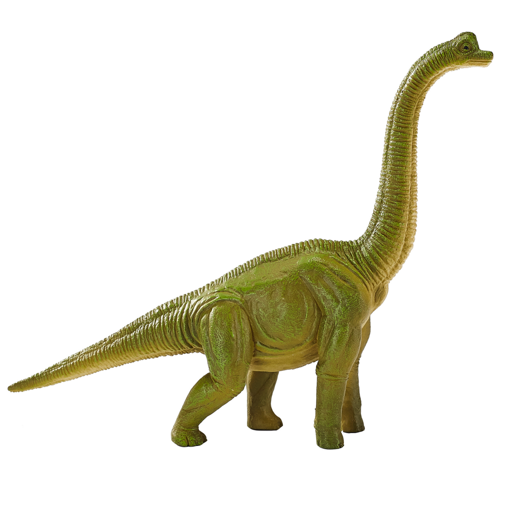 Brachiosaurus Dinosaur Toy  Realistic Prehistoric Model
