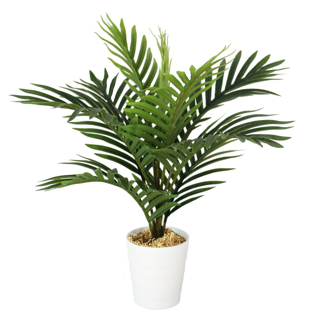 Pack of 6 x 50cm Artificial Mini Palm Tree