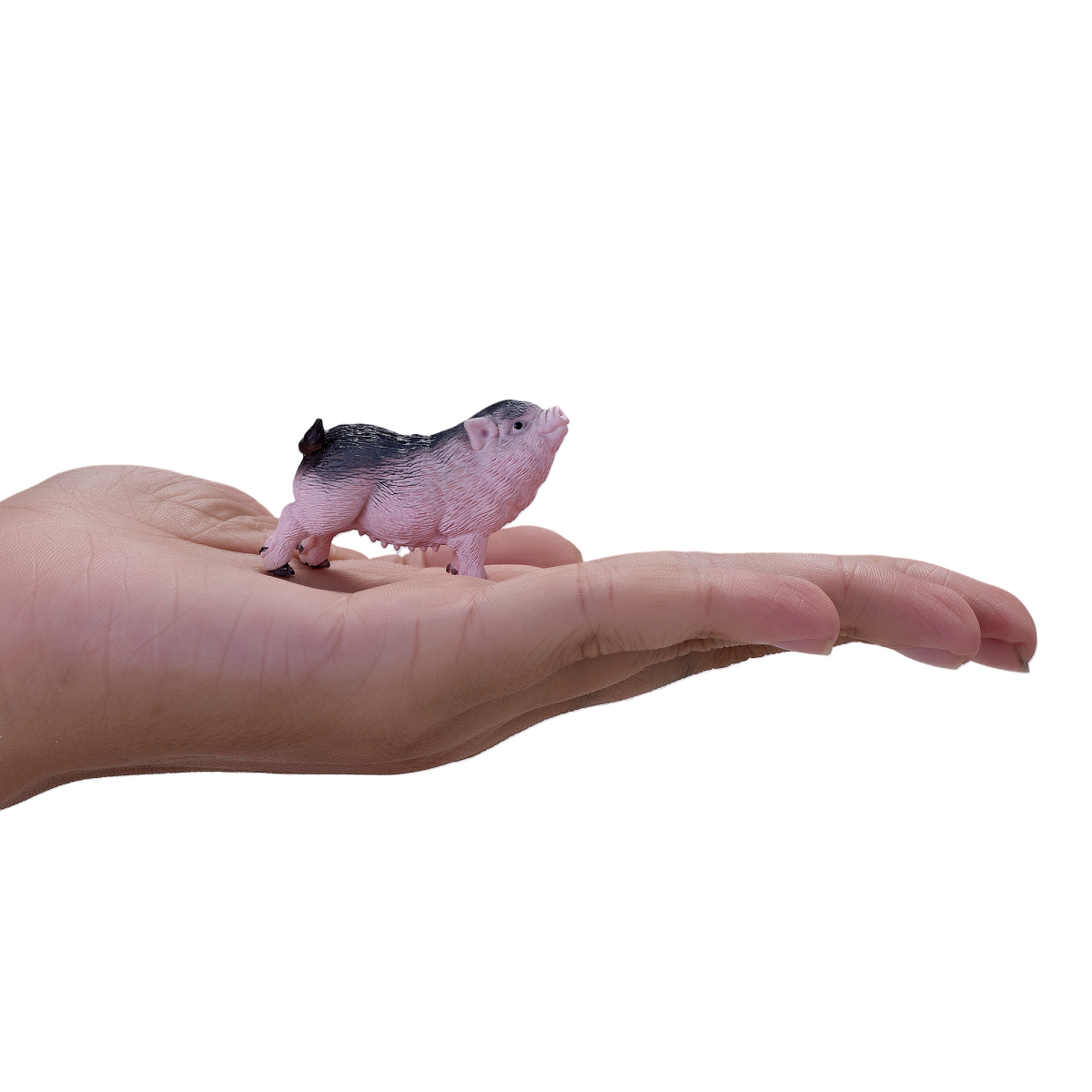 Pot-Bellied Piglet Toy  Realistic Farm Animal Model