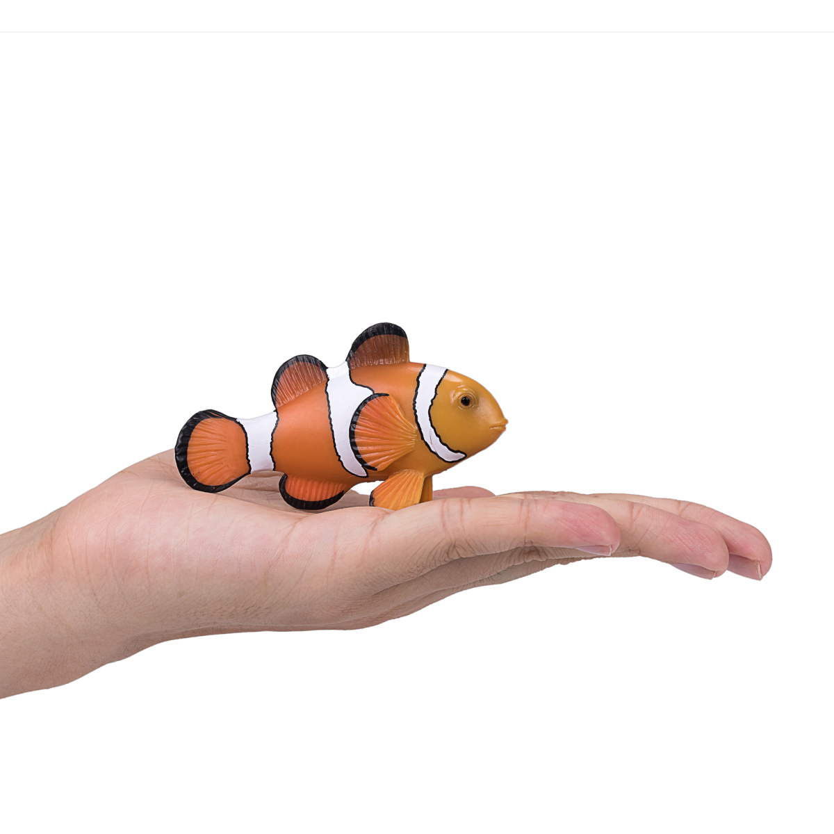 Clown Fish Toy  Realistic Ocean Animal Model