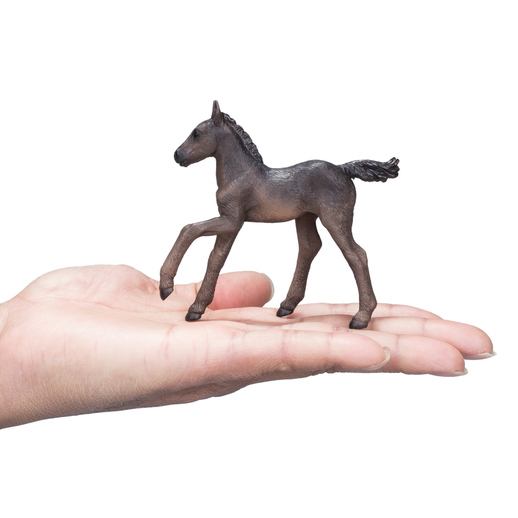 Arabian Foal Black  Realistic Horse Model