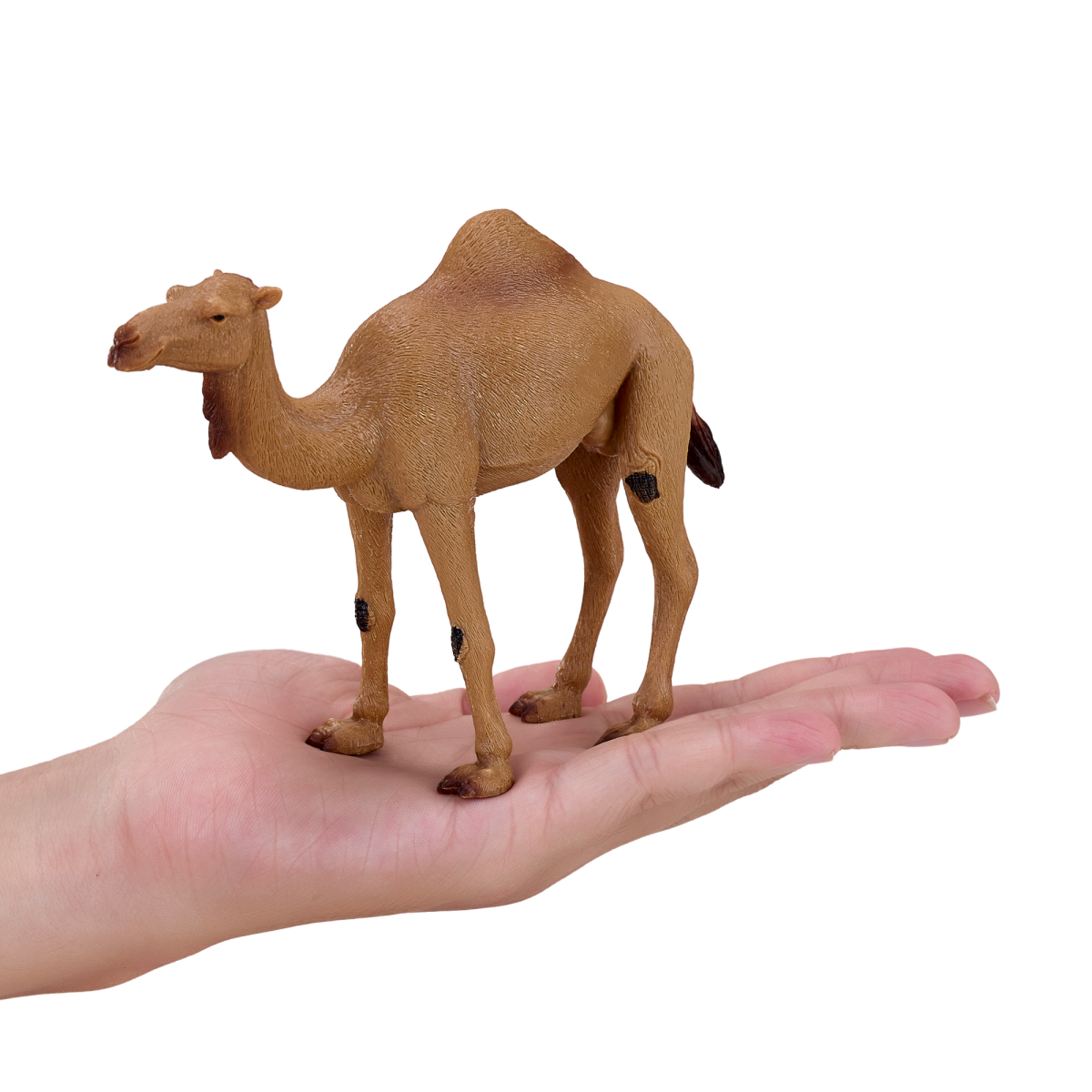 Arabian Camel Toy  Realistic Desert Animal Model