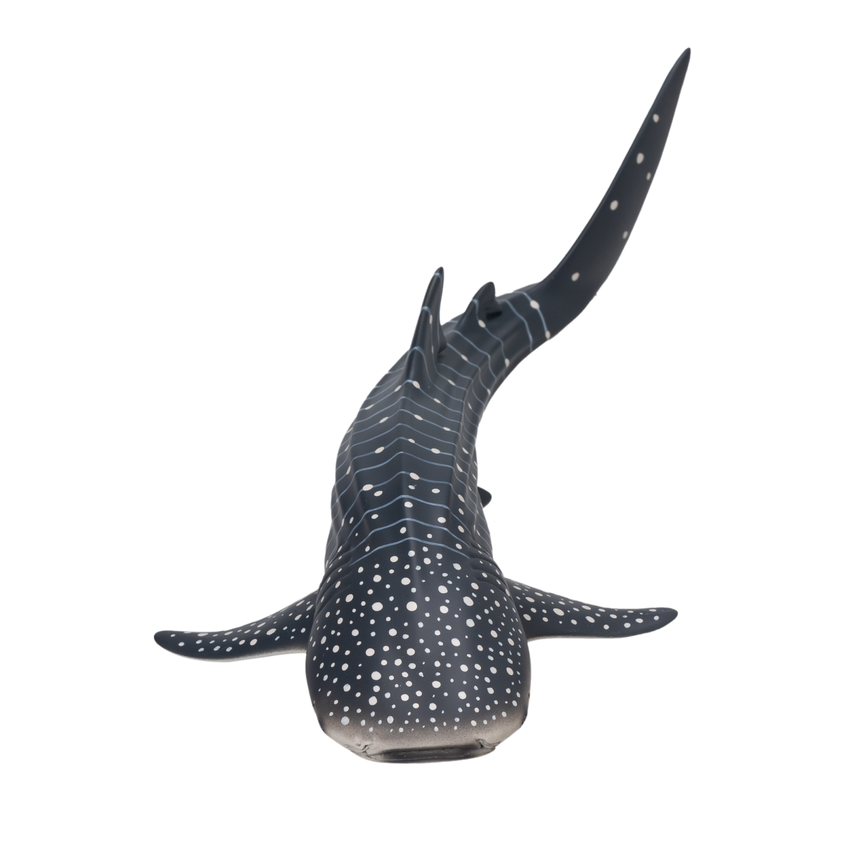 Whale Shark Toy  Realistic Ocean Animal Model