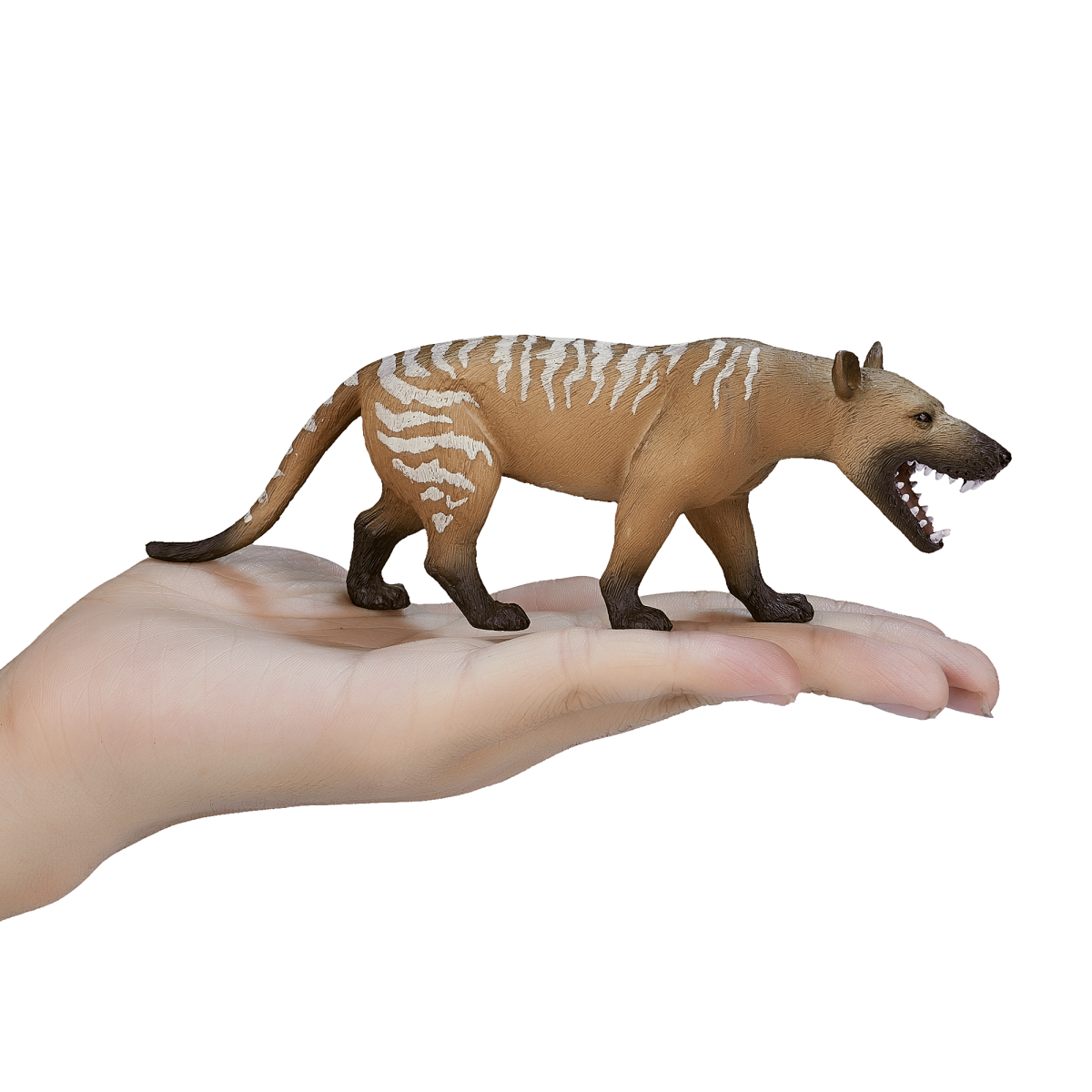 Hyaenodon Gigas Toy  Prehistoric Mammal Figurine