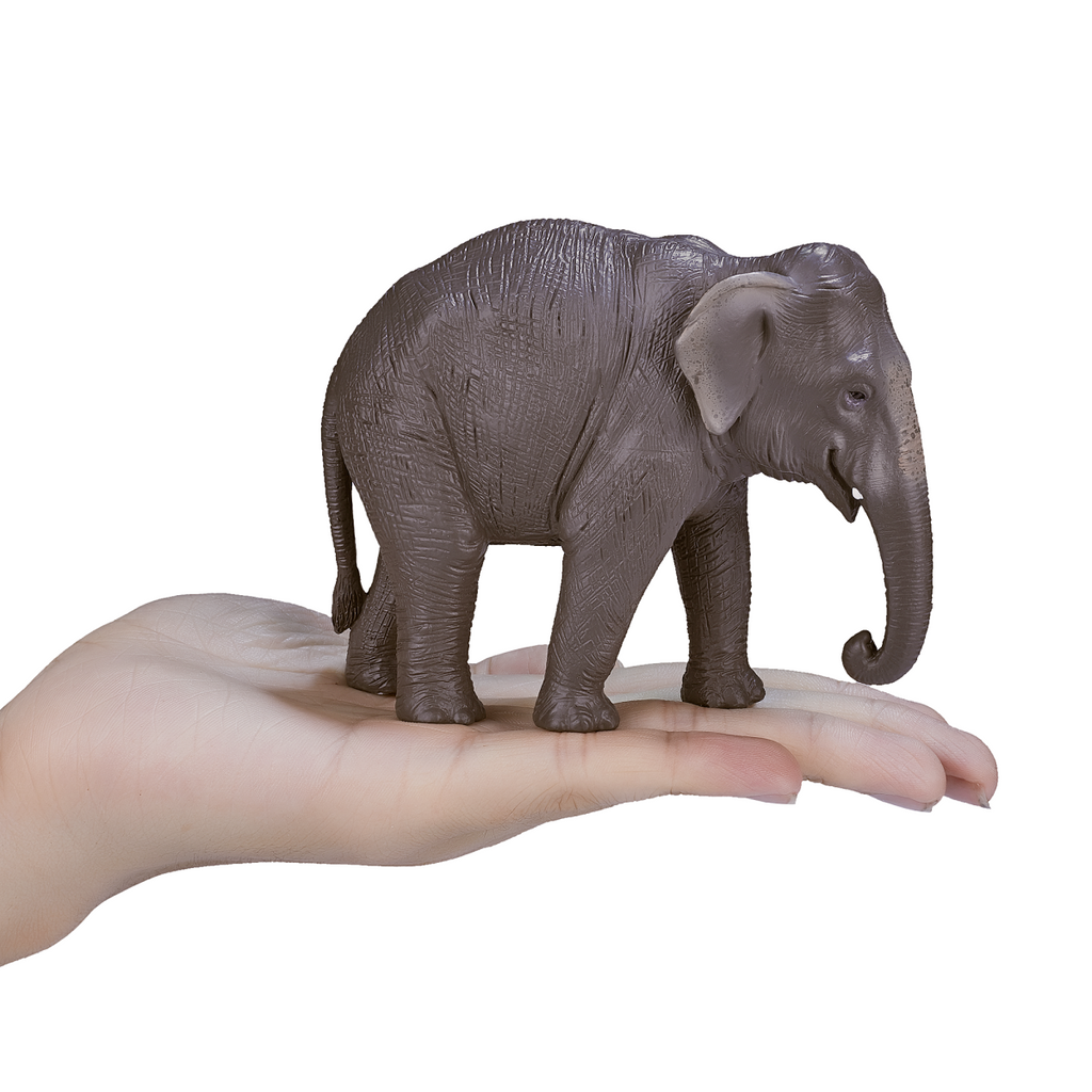 Asian Elephant Toy Figure  Realistic Wildlife Model