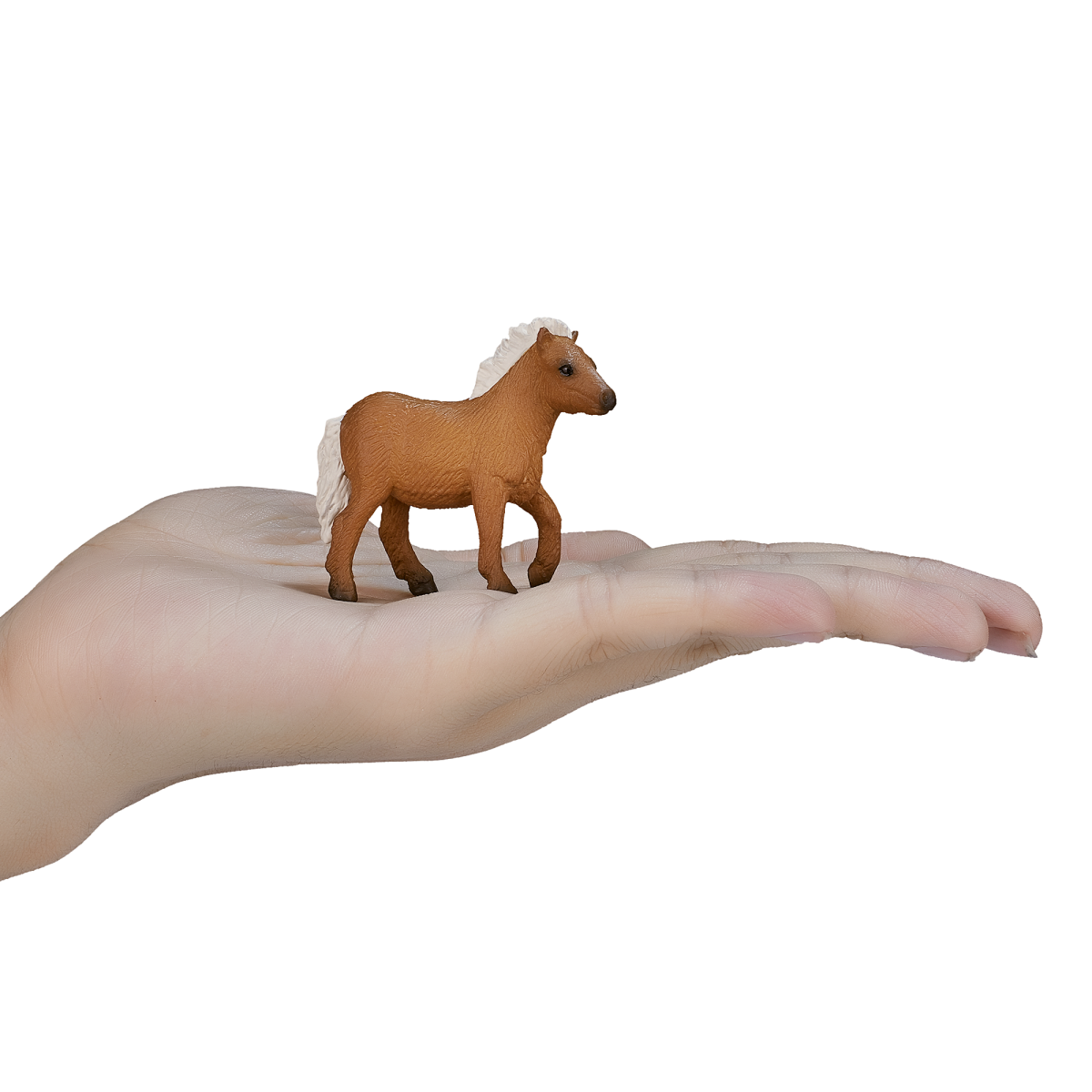 Shetland Foal Toy Figure  Realistic Horse Figurine
