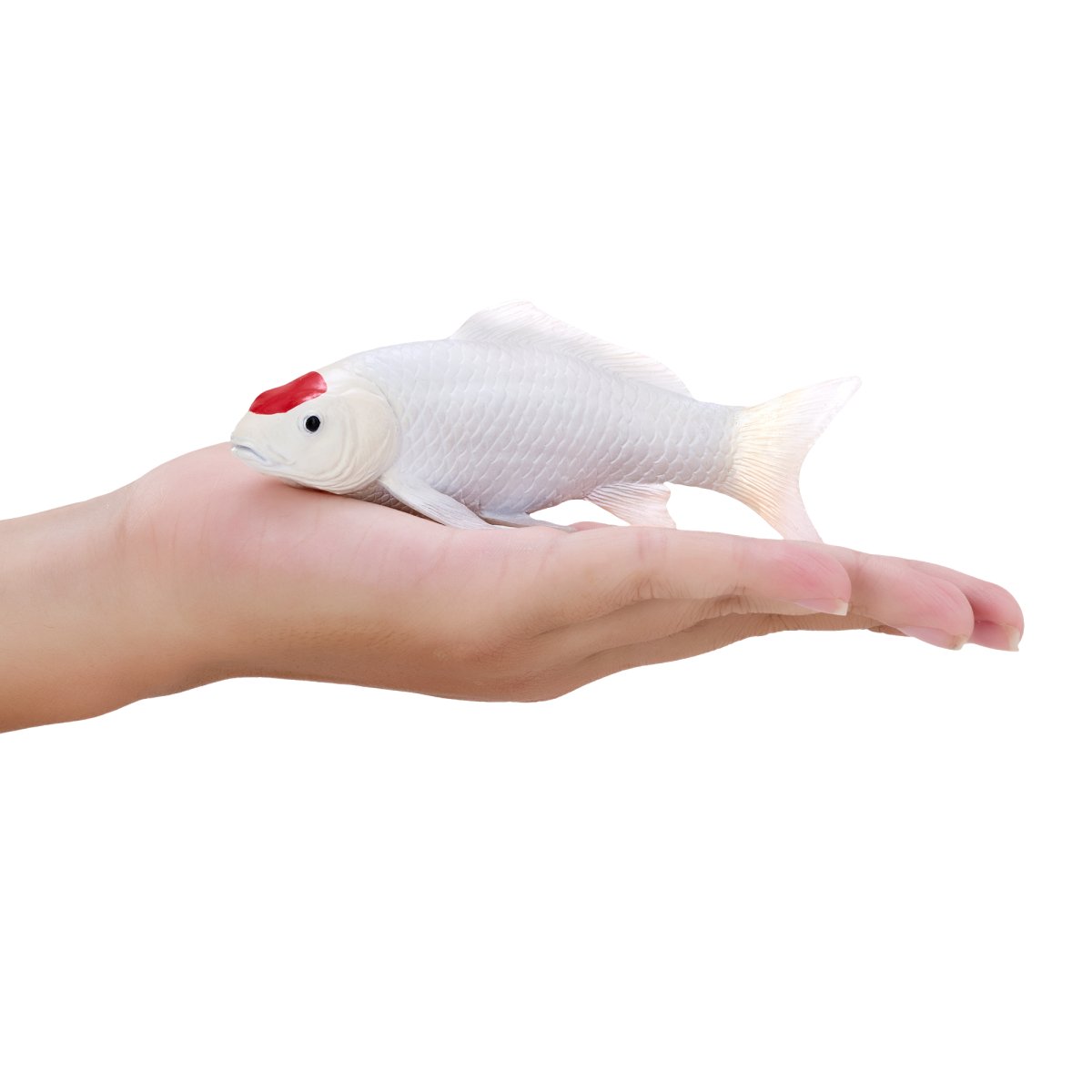 Koi Carp Tancho Toy  Realistic Fish Figurine
