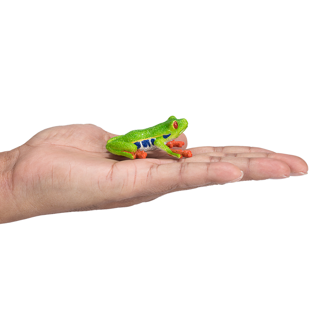 Red-Eyed Tree Frog Toy  Realistic Rainforest Amphibian Figure