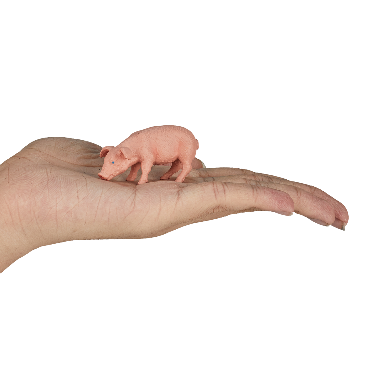 Piglet Feeding Toy  Realistic Farmyard Animal Figure