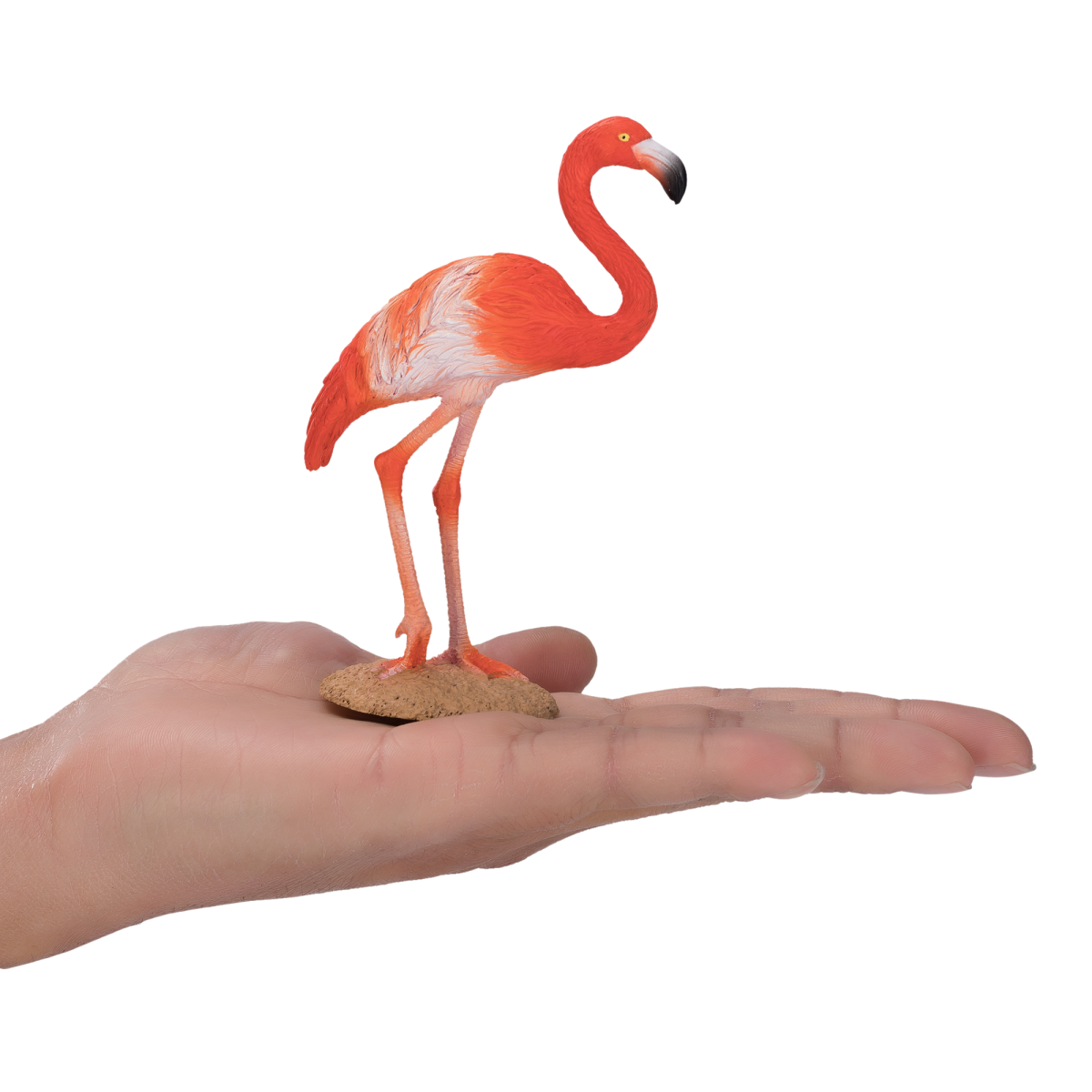 American Flamingo Toy  Realistic Exotic Bird Figurine