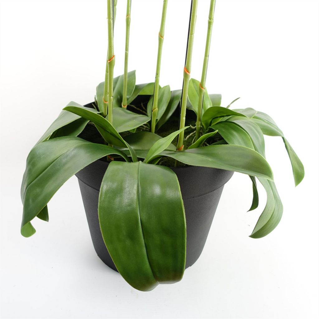 110cm Large White Orchid Plant - Artifcial - 41 REAL TOUCH flowers