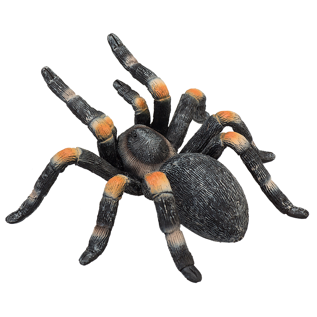 Red-Kneed Tarantula Toy  Realistic Spider Figurine