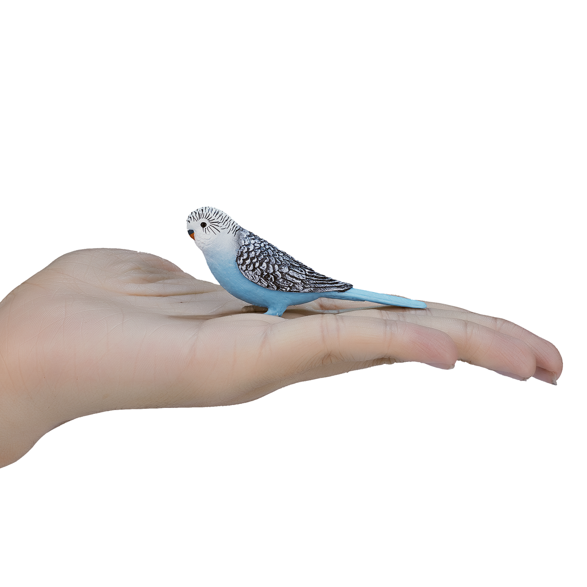 Blue Budgerigar Toy  Realistic Exotic Bird Figurine