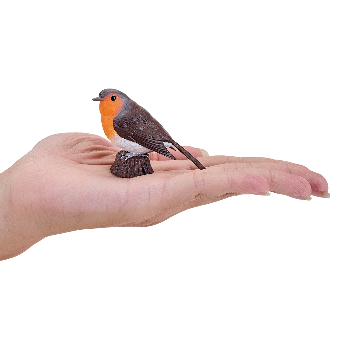 Robin Bird Toy  Realistic Wildlife Figurine