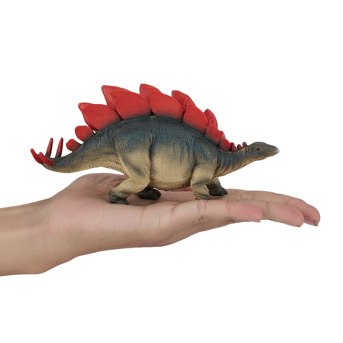 Stegosaurus Dinosaur Toy  Realistic Prehistoric Model