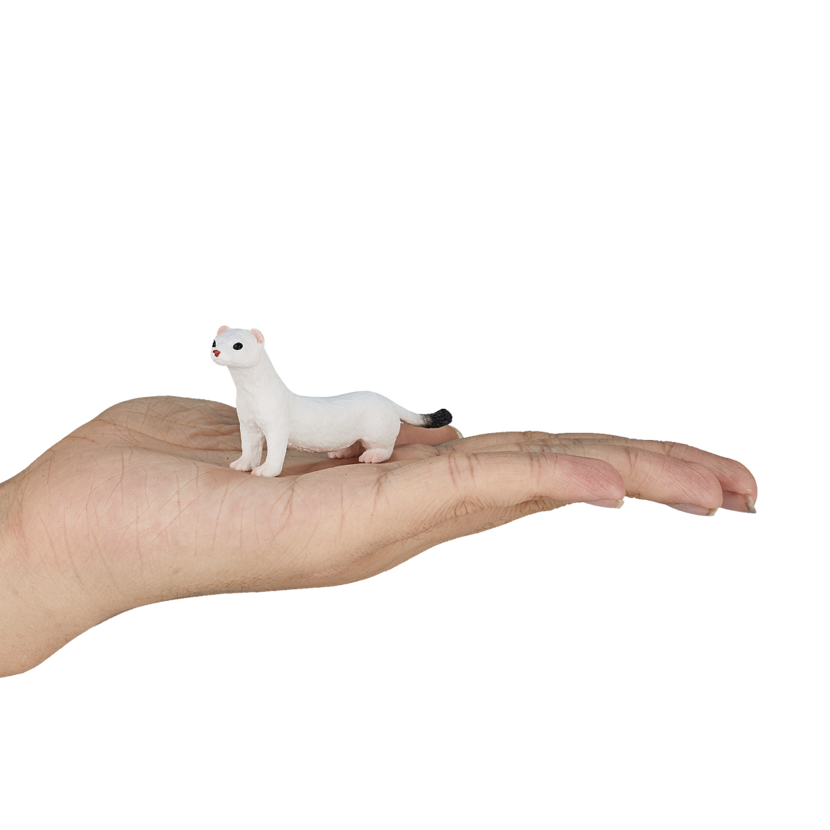 Ermine Toy Figure  Realistic Woodland Animal Model