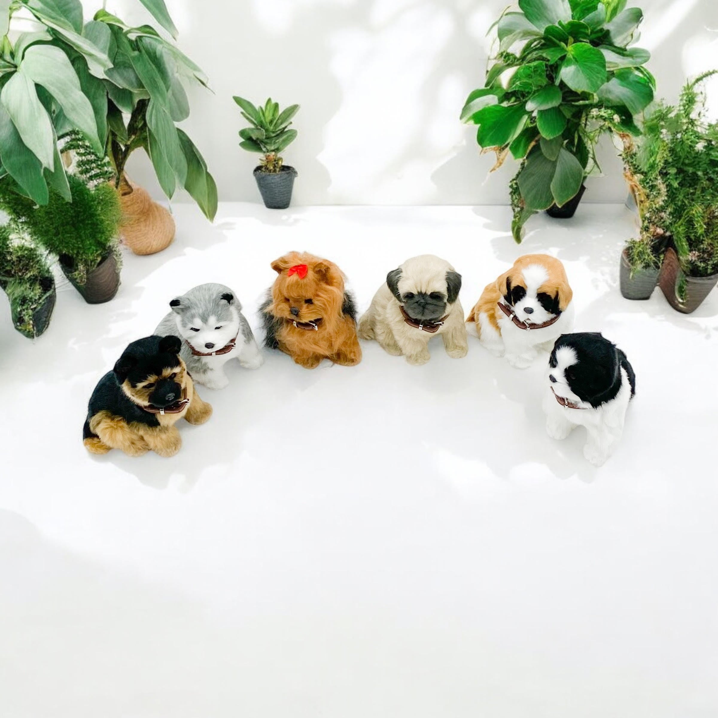 18cm Sitting Puppies-6 Asst Colour