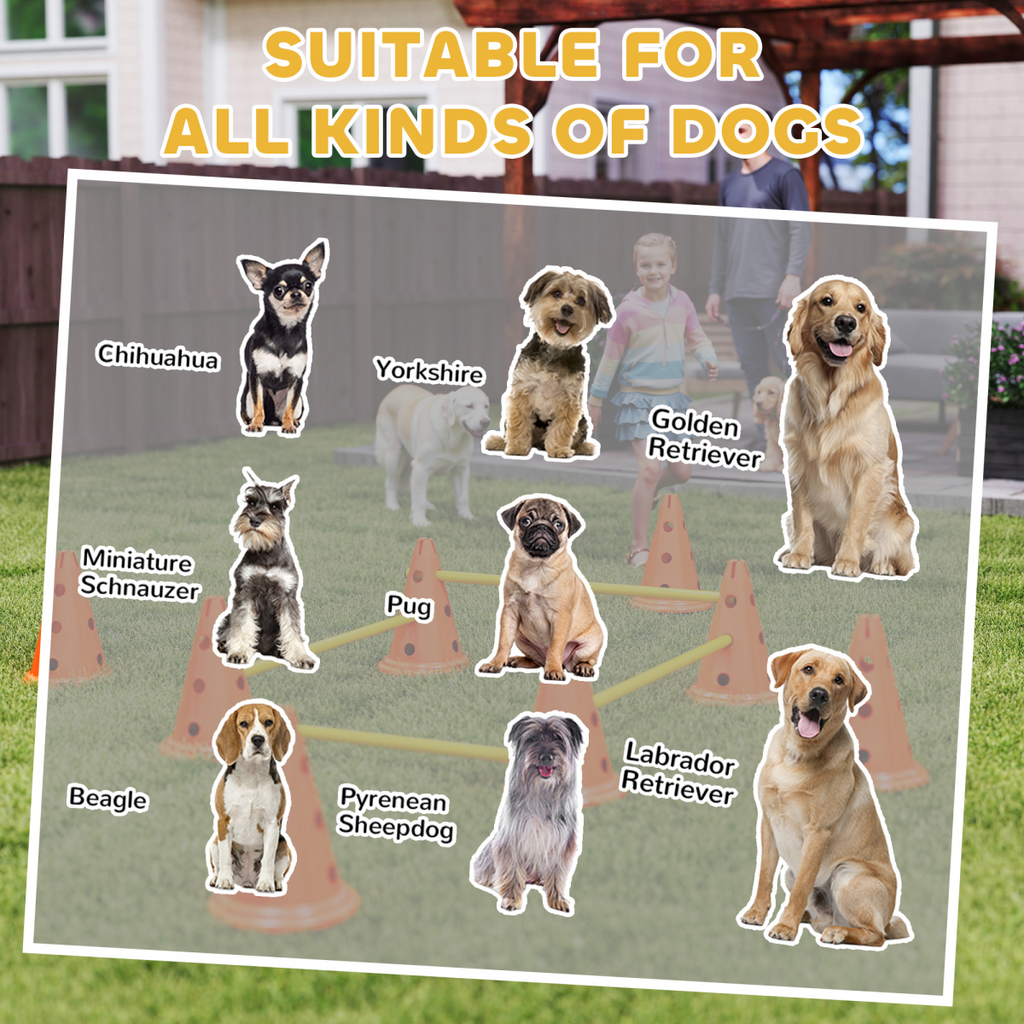 Dog Agility Equipment Set of Eight Cones