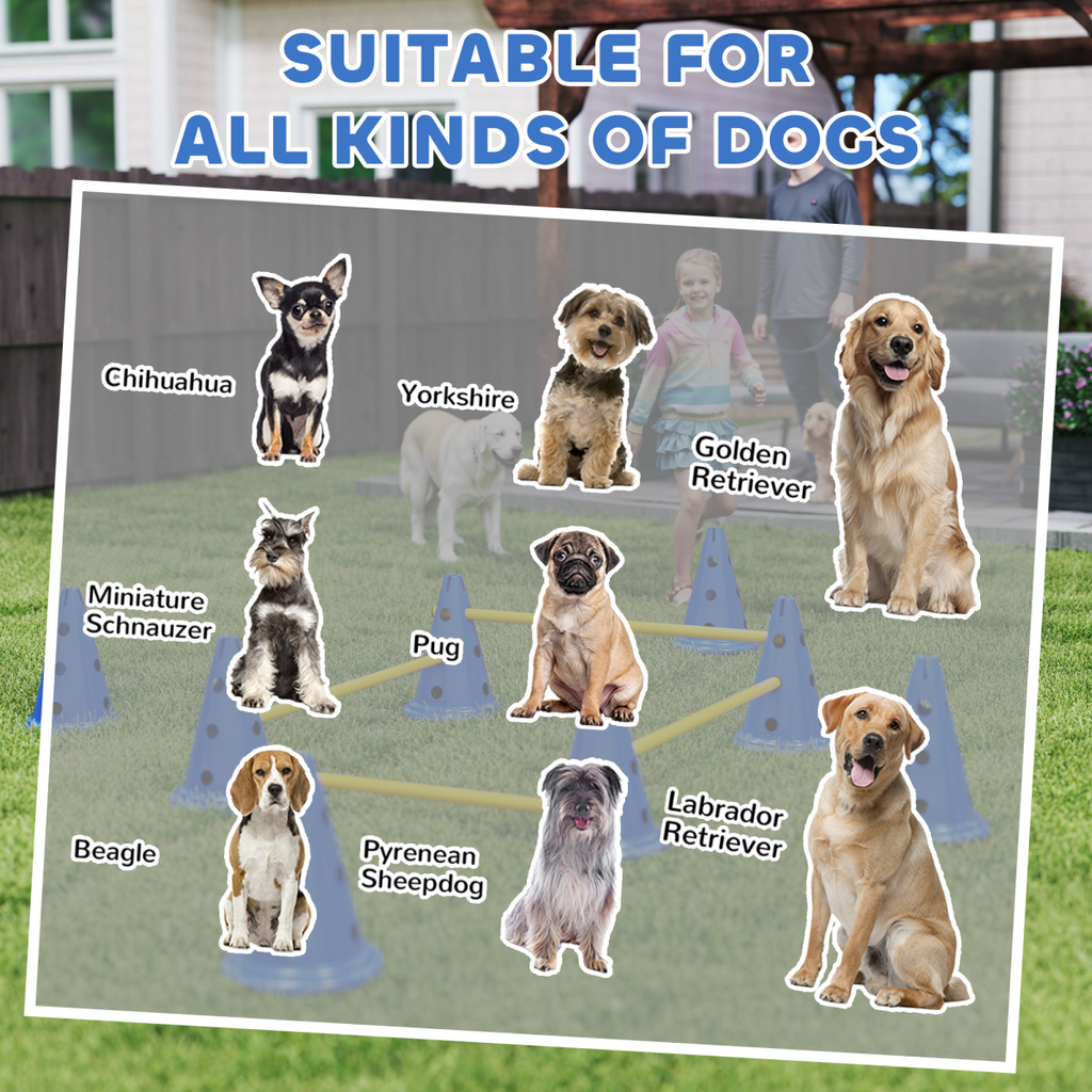Dog Agility Equipment Set of Eight Cones