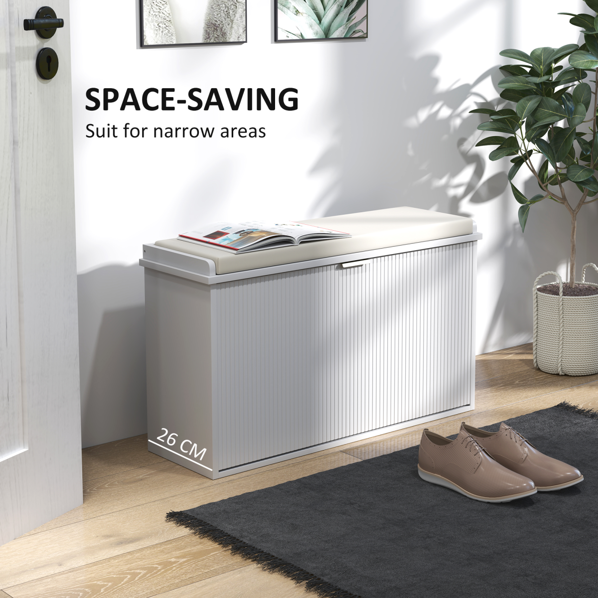 Shoe Storage Cabinet