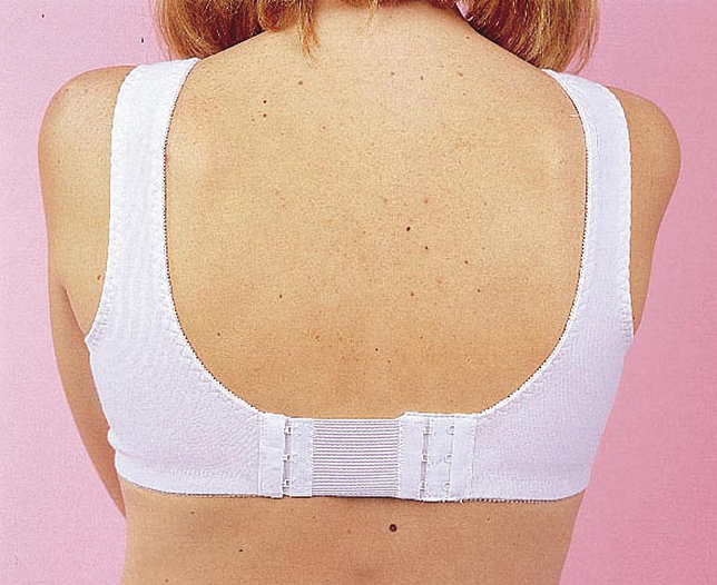 Bra Extenders (pack of 6)