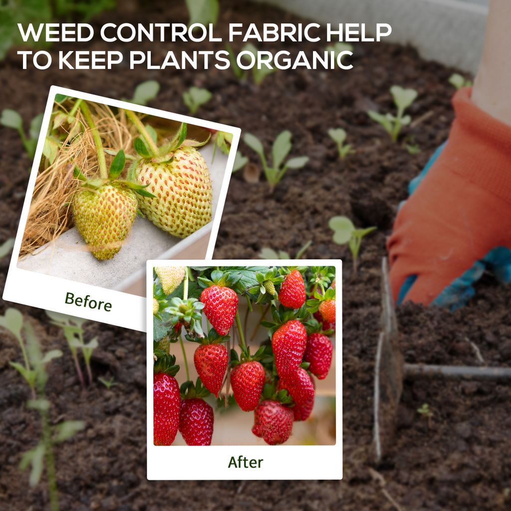 Outsunny 2 x 100m Weed Membrane, Heavy Duty Weed Control Membrane