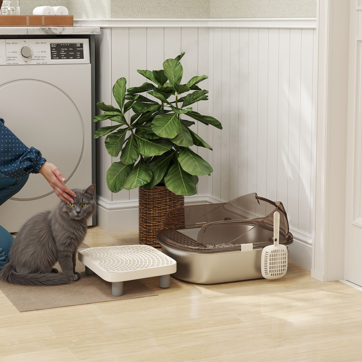 Cat Litter Box