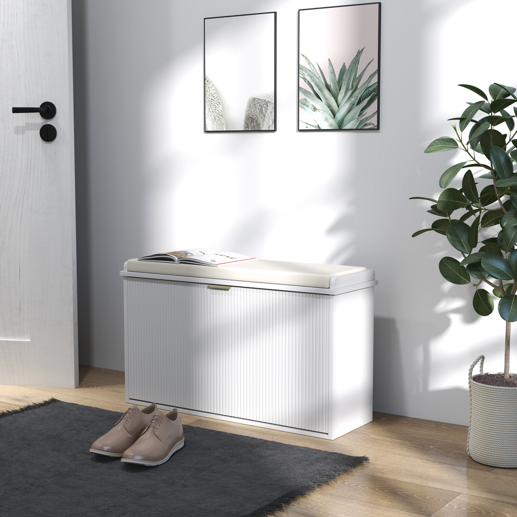 Shoe Storage Cabinet