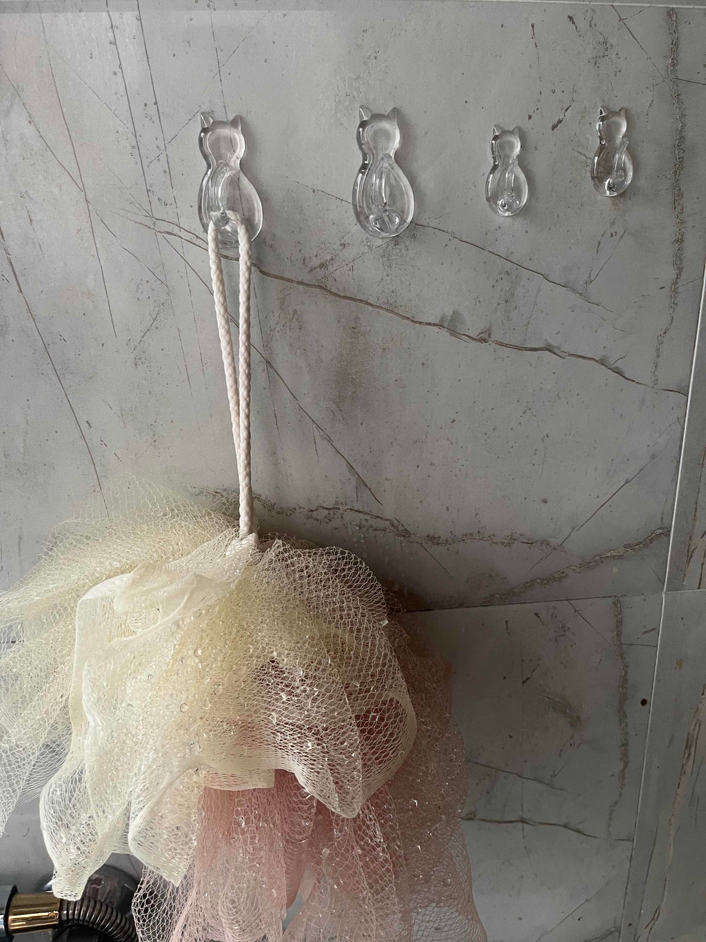 Transparent Cat Hooks ? Set of 12
