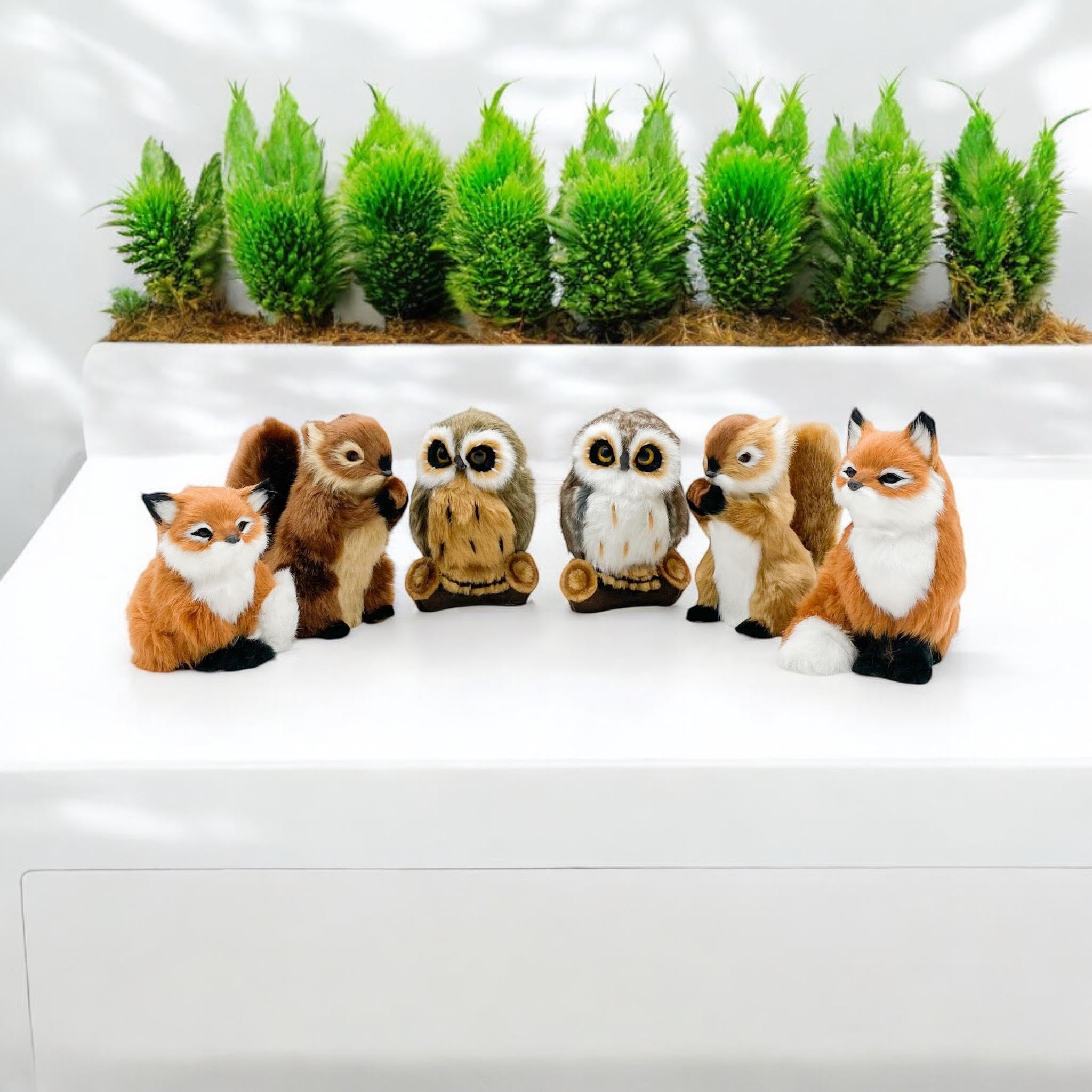 16cm Standing Owl,Fox,Squirrel-6 Asst