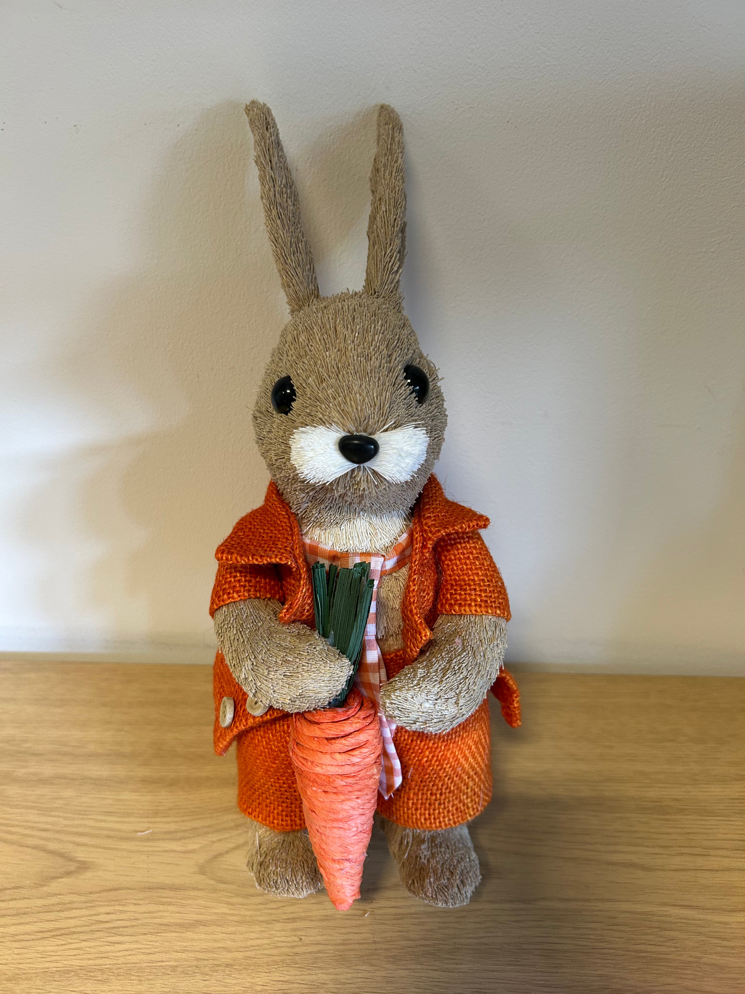 Jasper the Dapper Rabbit