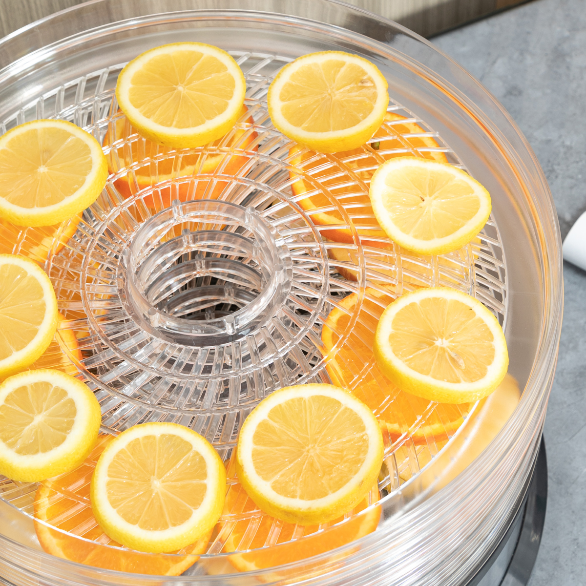 5 Tier Food Dehydrator 250W Stainless Steel Food Dryer Machine Silver