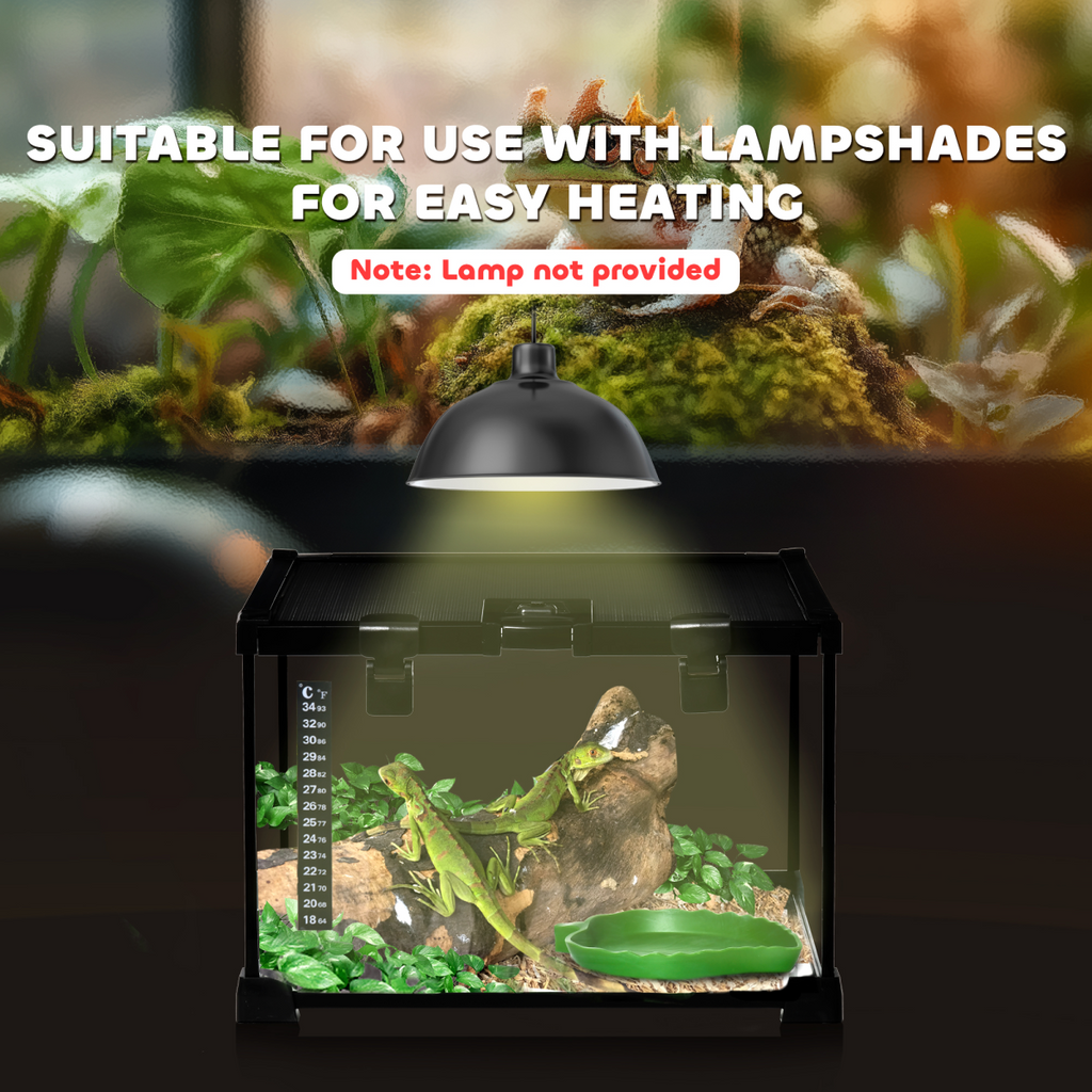 Glass Reptile Terrarium Habitats for Lizards, Frogs, Snake PawHut