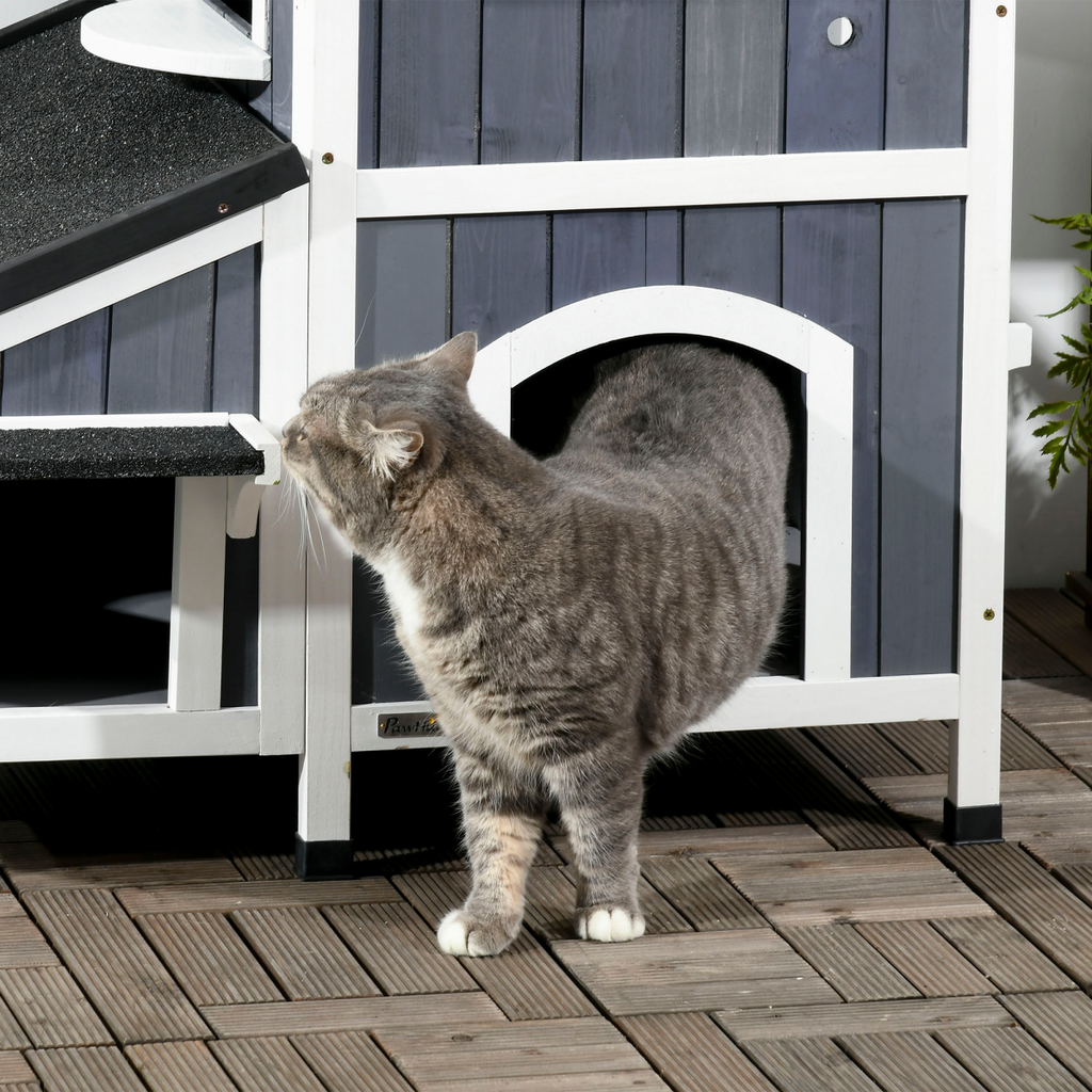 PawHut – Wooden – Cat – House – Outdoor with Flower Pot, – Window, Multiple – Entrances