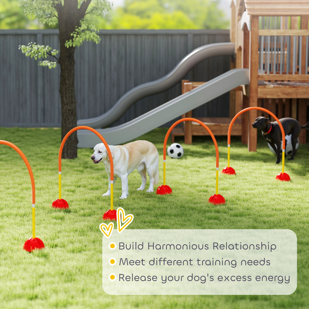 PawHut 4 Piece Dog Agility Training Equipment with Carry Bag, Orange